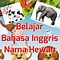 Nama Hewan Dari Huruf I Dalam Bahasa Inggris