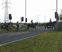 Pegasus Crossing Adalah